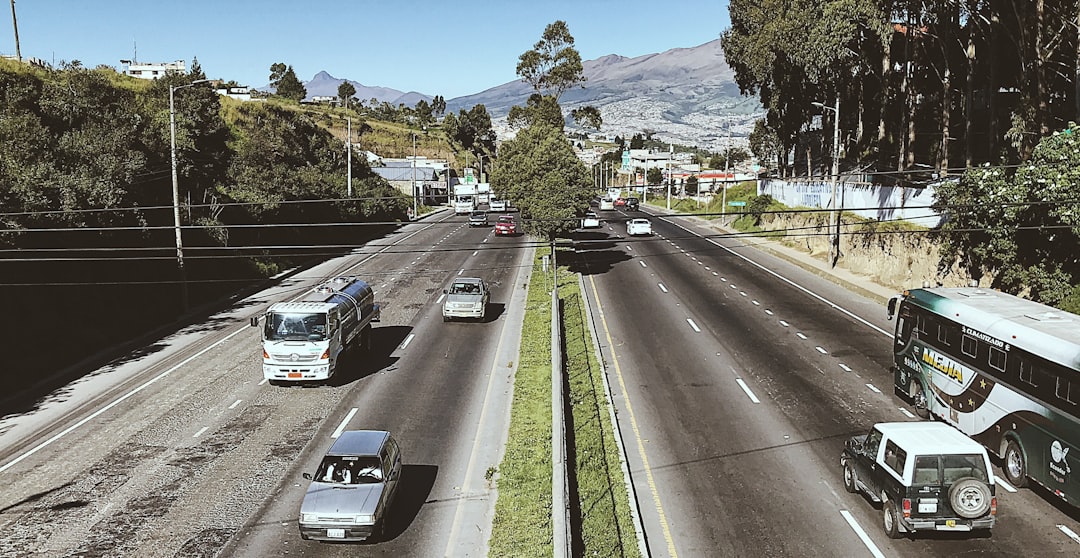 Organik trafik nasıl kazanılır